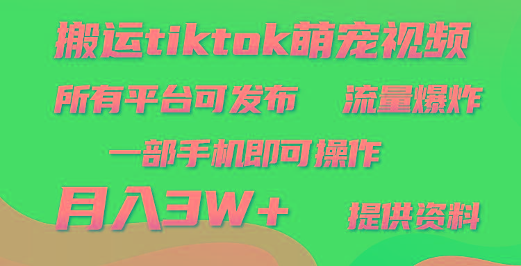 (9618期)搬运Tiktok萌宠类视频，一部手机即可。所有短视频平台均可操作，月入3W+-氚客吧