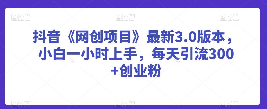 抖音《网创项目》最新3.0版本，小白一小时上手，每天引流300+创业粉【揭秘】-氚客吧