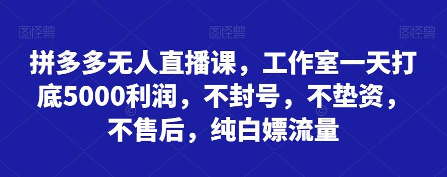 拼多多无人直播课，工作室一天打底5000利润，不封号，不垫资，不售后，纯白嫖流量-氚客吧