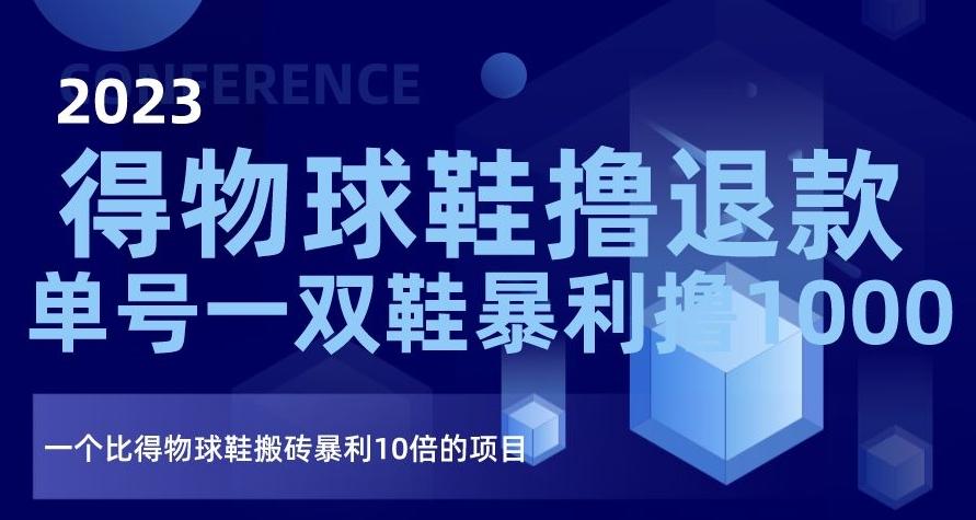 2023得物球鞋撸退款，单号一双鞋暴利撸1000，一个比得物球鞋搬砖暴利10倍的项目【揭秘】-氚客吧
