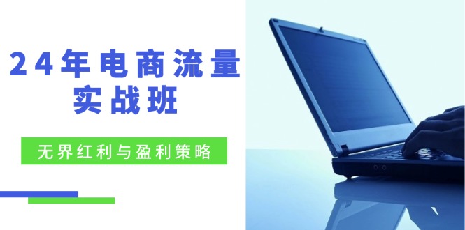 24年电商流量实战班：无界 红利与盈利策略，终极提升/关键词优化/精准…-氚客吧