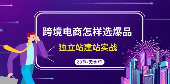 (9369期)跨境电商怎样选爆品，独立站建站实战(20节高清无水印课)-氚客吧