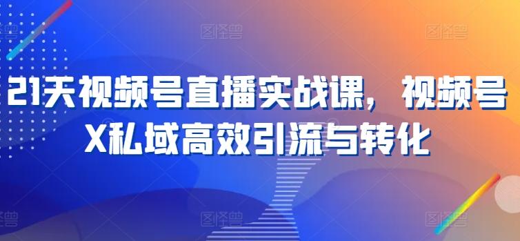 21天视频号直播实战课，视频号X私域高效引流与转化-氚客吧