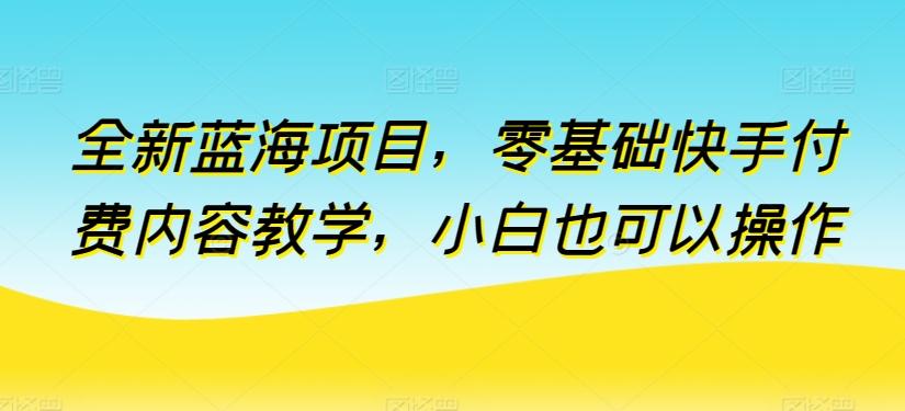 全新蓝海项目，零基础快手付费内容教学，小白也可以操作【揭秘】-氚客吧