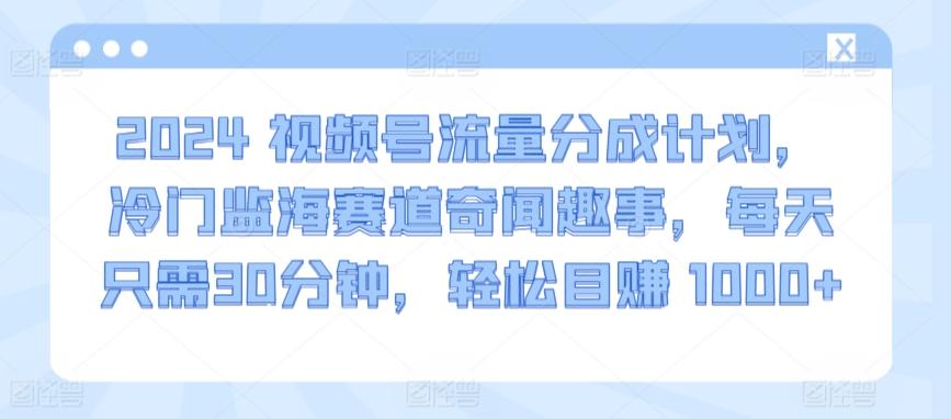 2024视频号流量分成计划，冷门监海赛道奇闻趣事，每天只需30分钟，轻松目赚 1000+【揭秘】-氚客吧