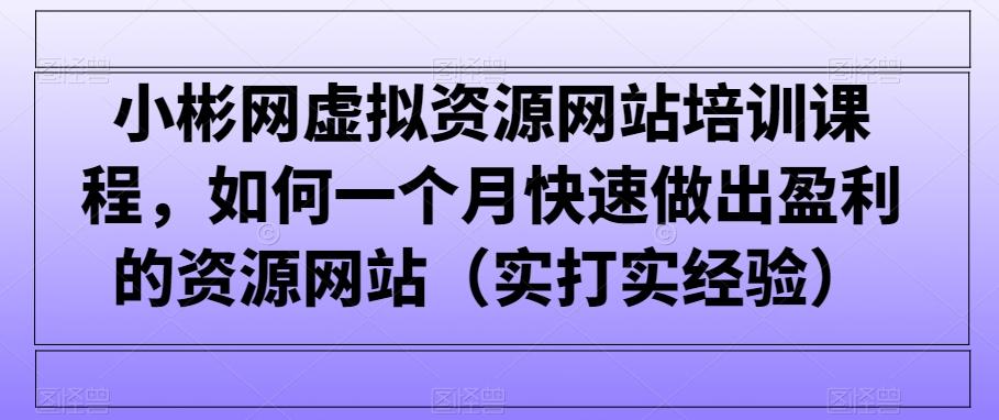 小彬网虚拟资源网站培训课程，如何一个月快速做出盈利的资源网站(实打实经验)-氚客吧