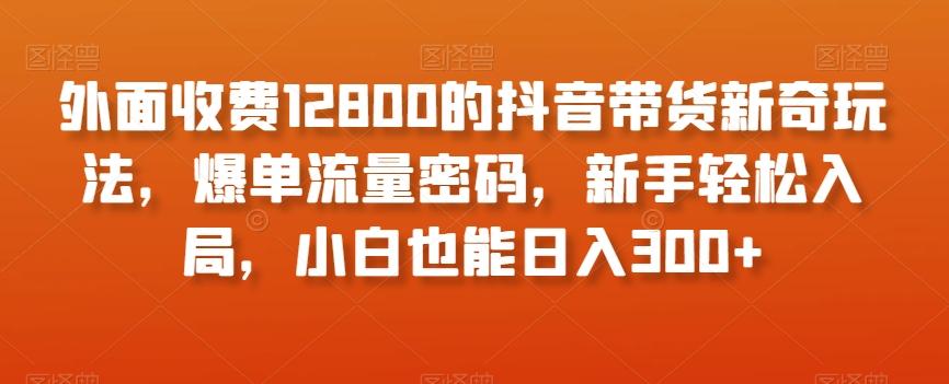 外面收费12800的抖音带货新奇玩法，爆单流量密码，新手轻松入局，小白也能日入300+【揭秘】-氚客吧