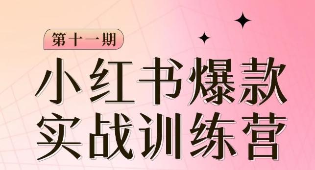 小红书博主爆款训练营第11期，手把手教你从0-1做小红书，从定位到起号到变现-氚客吧