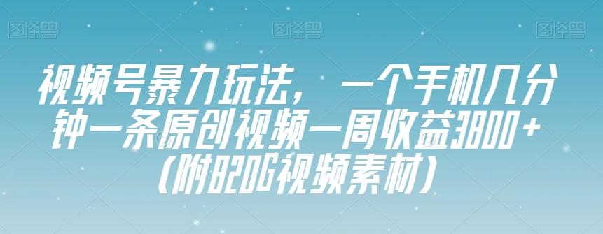 视频号暴力玩法，一个手机几分钟一条原创视频一周收益3800+（附820G视频素材）-氚客吧