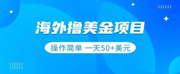 撸美金项目无门槛操作简单小白一天50+美刀-氚客吧