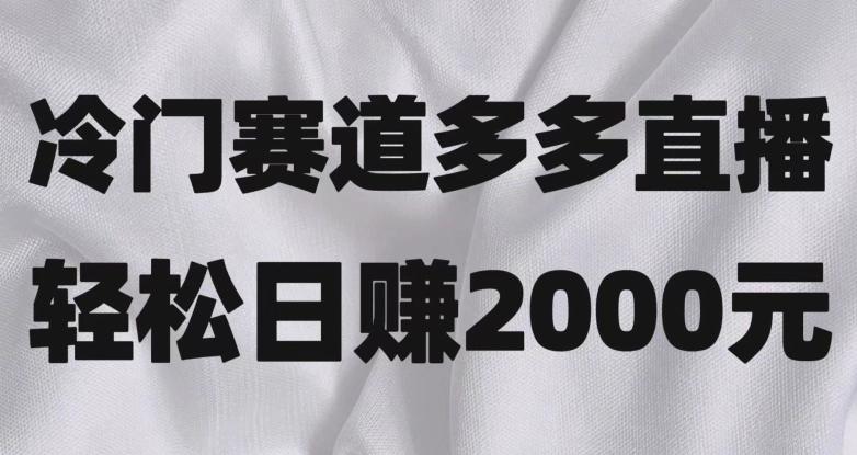 冷门赛道拼多多直播，简单念稿子，日收益2000＋【揭秘】-氚客吧