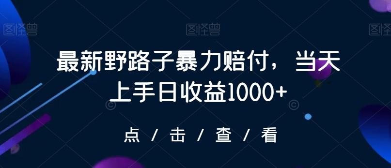 最新野路子暴力赔付，当天上手日收益1000+【仅揭秘】-氚客吧