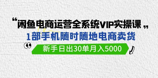 (9547期)闲鱼电商运营全系统VIP实战课，1部手机随时随地卖货，新手日出30单月入5000-氚客吧