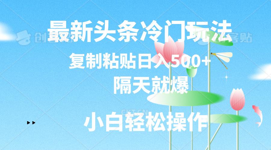 最新头条冷门玩法，隔天就爆，复制粘贴日入500+-氚客吧