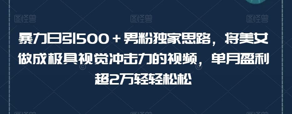 暴力日引500＋男粉独家思路，将美女做成极具视觉冲击力的视频，单月盈利超2万轻轻松松-氚客吧