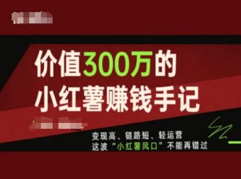 价值300万的小红书赚钱手记，变现高、链路短、轻运营，这波“小红薯风口”不能再错过-氚客吧