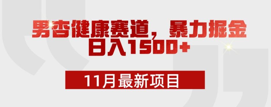 11月最新项目，男杏健康赛道，暴力掘金，日入1500+-氚客吧