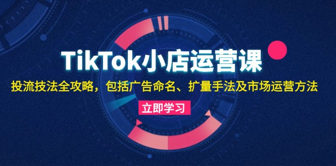 TikTok小店运营课：投流技法全攻略，包括广告命名 扩量手法及市场运营方法-氚客吧