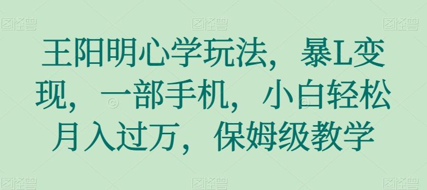 王阳明心学玩法，暴L变现，一部手机，小白轻松月入过万，保姆级教学【揭秘】-氚客吧