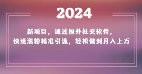 2024新项目，通过国外社交软件，快速涨粉精准引流，轻松做到月入上万【揭秘】-氚客吧