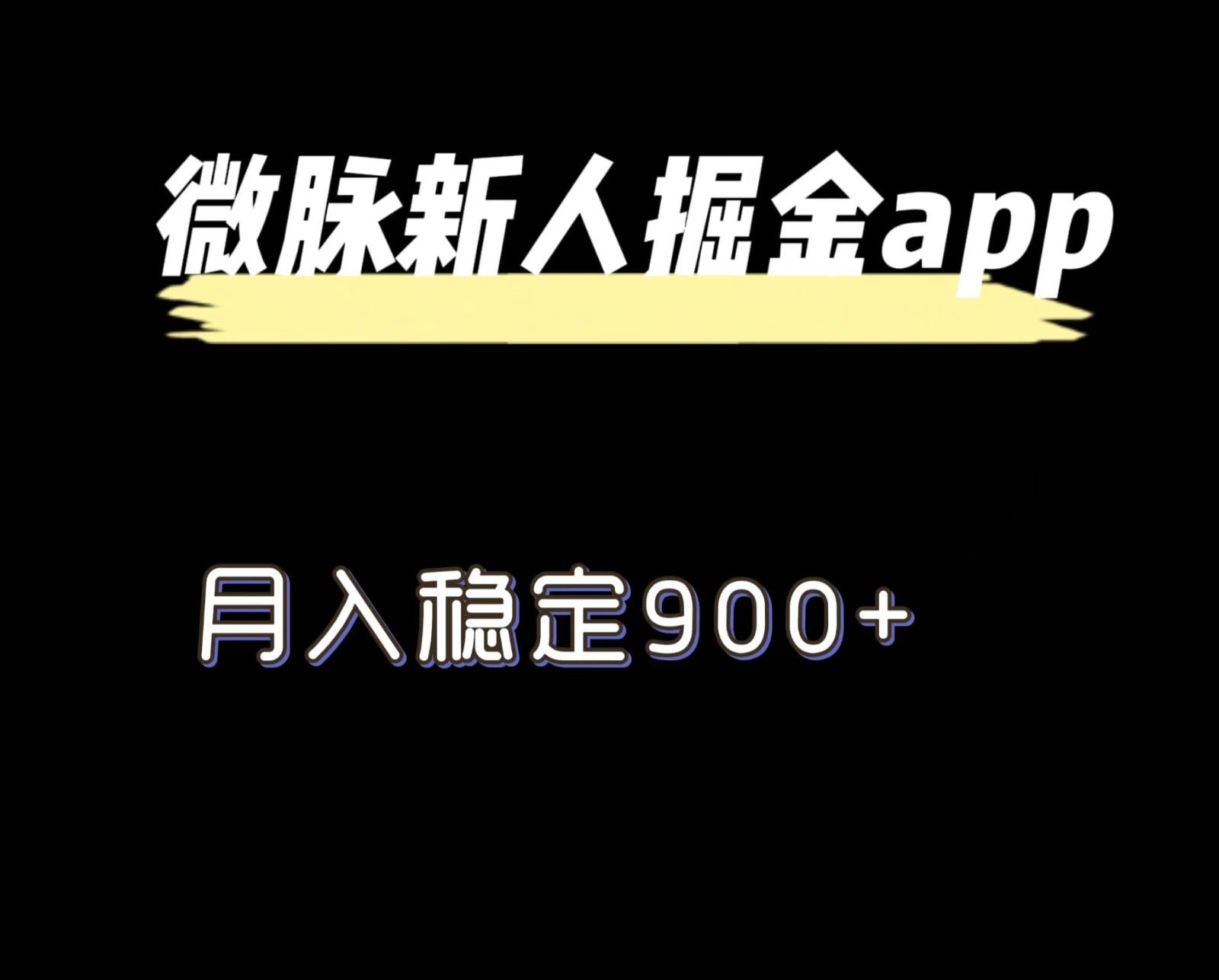 最新微脉长久项目，拉新掘金，月入稳定900+-氚客吧