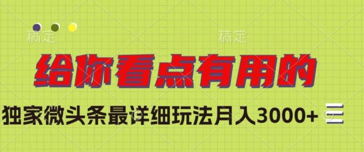 独家微头条最详细玩法，月入3000+【揭秘】-氚客吧