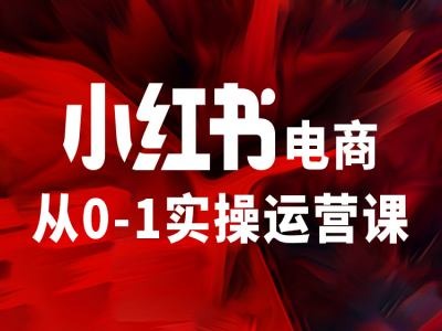 小红书电商从0-1实操运营课，让你从小白到精英-氚客吧