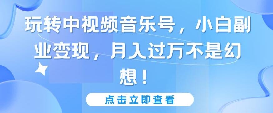 玩转中视频音乐号，小白副业变现，月入过万不是幻想【揭秘】-氚客吧