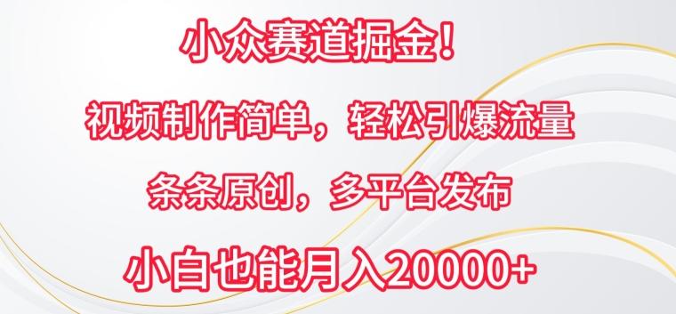 小众赛道掘金，视频制作简单，轻松引爆流量，条条原创，多平台发布【揭秘】-氚客吧