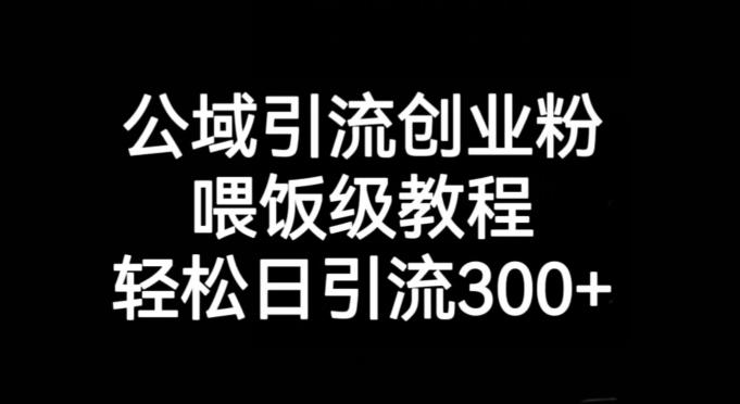 公域引流创业粉，喂饭级教程，轻松日引流300+【揭秘】-氚客吧