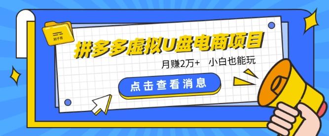 拼多多虚拟U盘电商红利项目：月赚2万+，新手小白也能玩-氚客吧