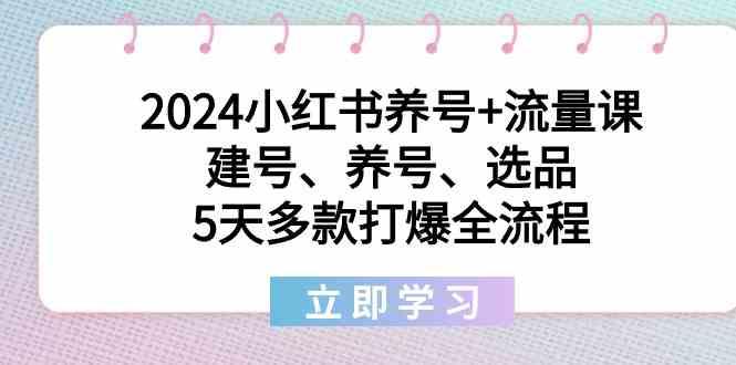 2024小红书养号+流量课：建号、养号、选品，5天多款打爆全流程-氚客吧