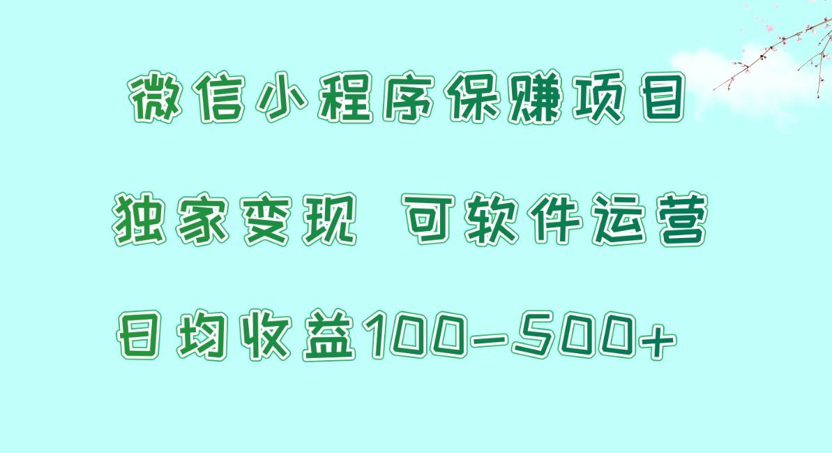 微信小程序保赚项目，日均收益100~500+，独家变现，可软件运营-氚客吧