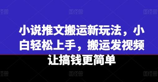小说推文搬运新玩法，小白轻松上手，搬运发视频让搞钱更简单-氚客吧