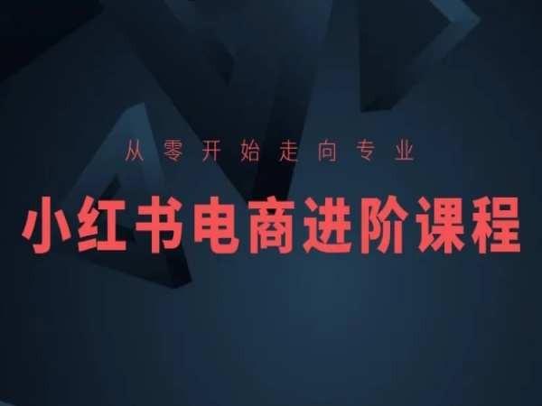 从零开始走向专业，小红书电商进阶课程-氚客吧