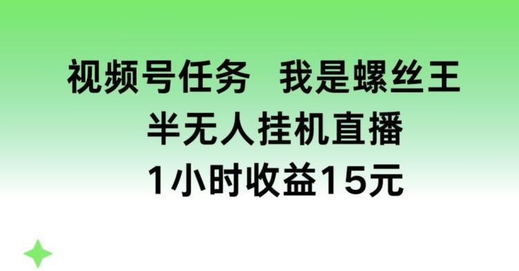 视频号任务，我是螺丝王， 半无人挂机1小时收益15元【揭秘】-氚客吧