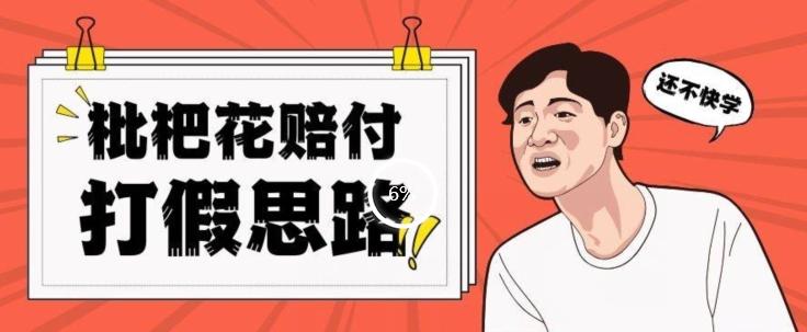 最新打假原料枇杷花赔付玩法一单收益1000+小白轻松下车【详细视频玩法教程】【仅揭秘】-氚客吧