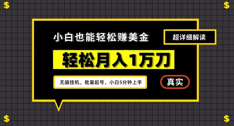 谷歌看广告撸美金2.0，无脑挂机，多号操作，月入1万刀【揭秘】-氚客吧