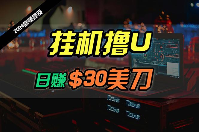 (10013期)日赚30美刀，2024最新海外挂机撸U内部项目，全程无人值守，可批量放大-氚客吧