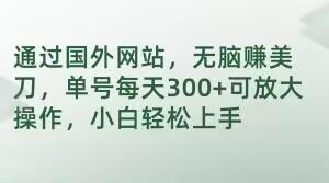 通过国外网站，无脑赚美刀，单号每天300+可放大操作，小白轻松上手【揭秘】-氚客吧