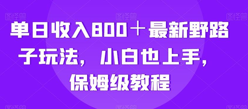 单日收入800＋最新野路子玩法，小白也上手，保姆级教程-氚客吧