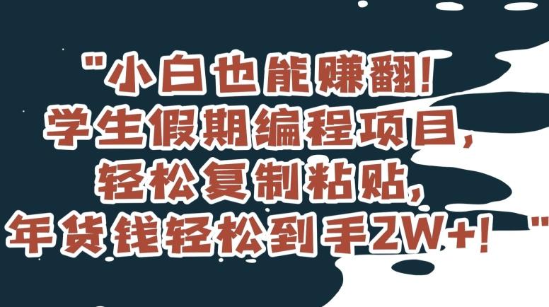 小白也能赚翻！学生假期编程项目，轻松复制粘贴，年货钱轻松到手2W+【揭秘】-氚客吧