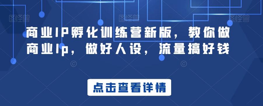 商业IP孵化训练营新版，教你做商业Ip，做好人设，流量搞好钱-氚客吧