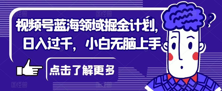 视频号蓝海领域掘金计划，日入过千，小白无脑上手【揭秘】-氚客吧
