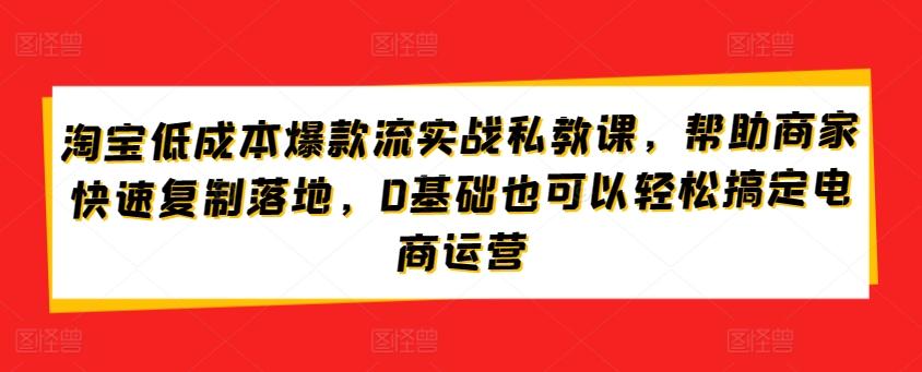 淘宝低成本爆款流实战私教课，帮助商家快速复制落地，0基础也可以轻松搞定电商运营-氚客吧