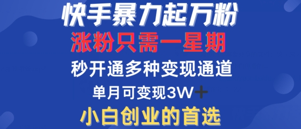 快手暴力起万粉，涨粉只需一星期，多种变现模式，直接秒开万合，单月变现过W【揭秘】-氚客吧