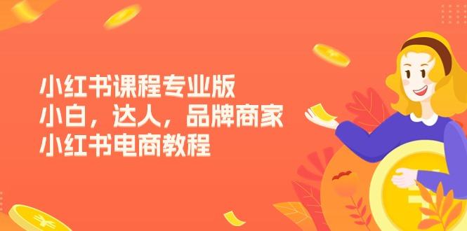 小红书课程专业版，小白，达人，品牌商家，小红书电商教程(15节-氚客吧