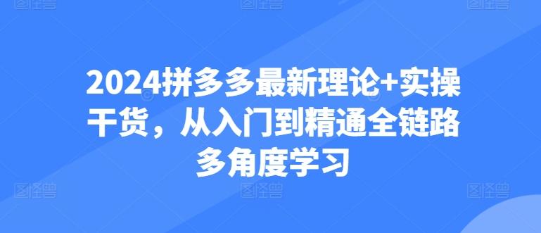 2024拼多多最新理论+实操干货，从入门到精通全链路多角度学习-氚客吧