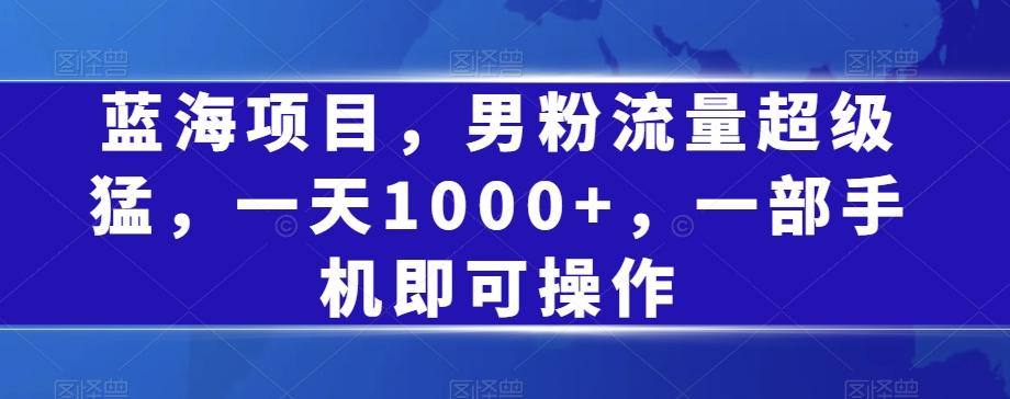 蓝海项目，男粉流量超级猛，一天1000+，一部手机即可操作【揭秘】-氚客吧