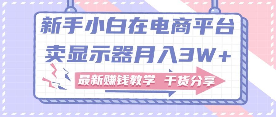 新手小白如何做到在电商平台卖显示器月入3W+，最新赚钱教学干货分享-氚客吧
